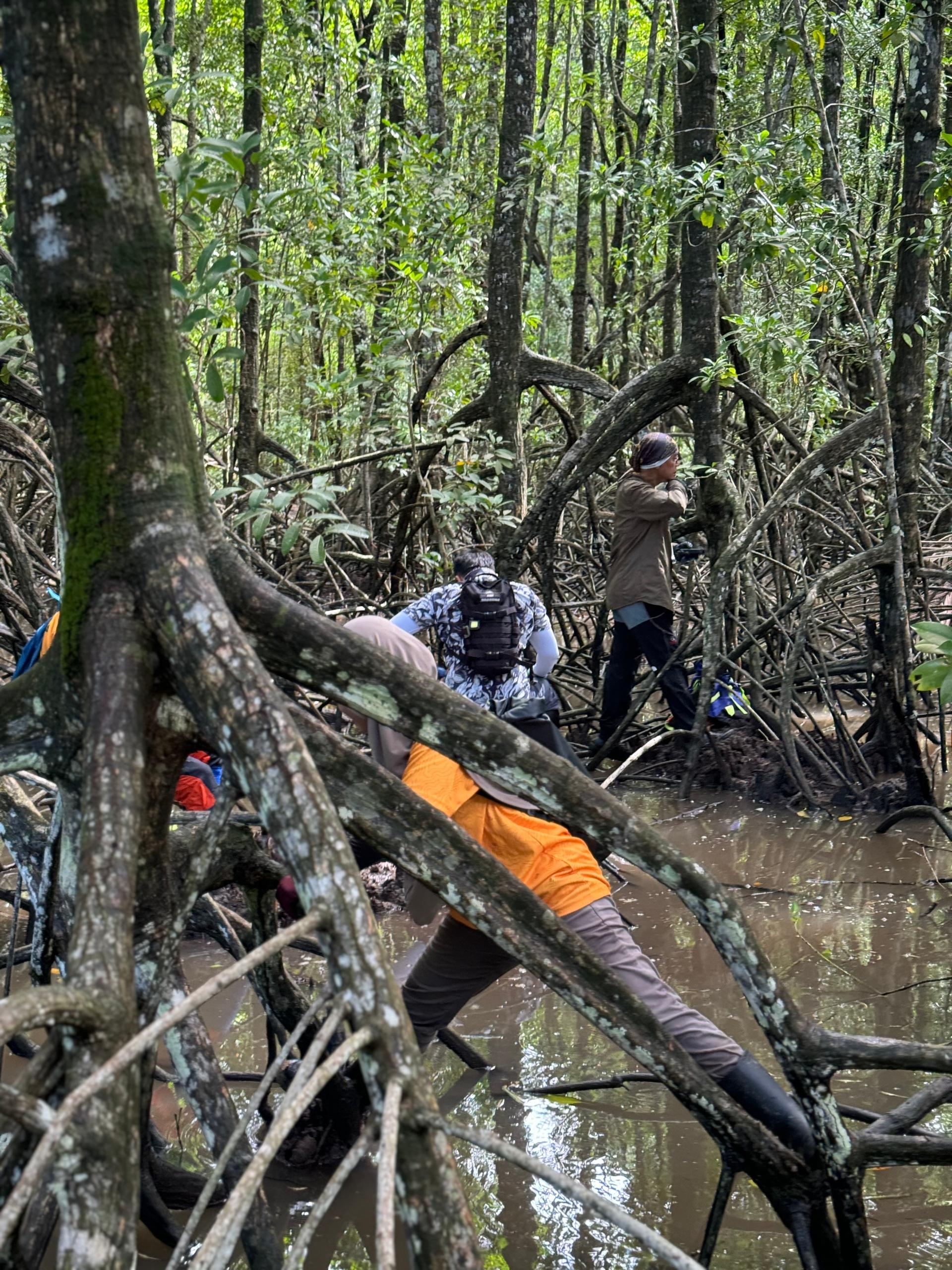 Forest sustainability